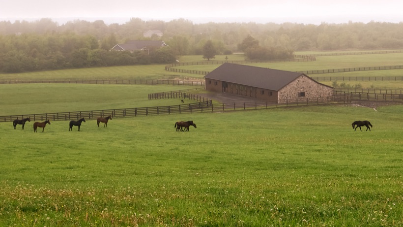 Horses grazing on a green hillside below a stone barn and wooden paddock fences on a foggy day.
